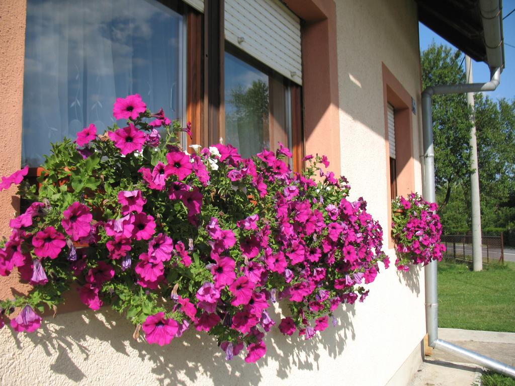 Apartment Lug Saborsko エクステリア 写真