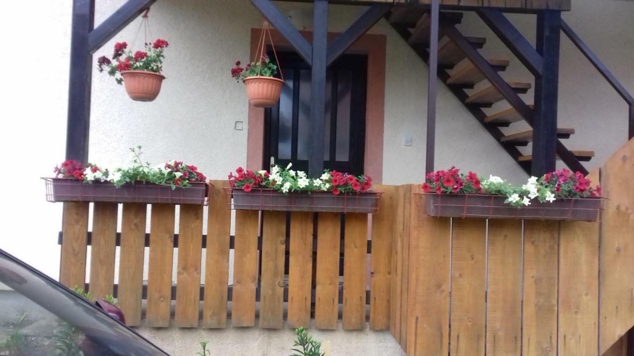 Apartment Lug Saborsko エクステリア 写真