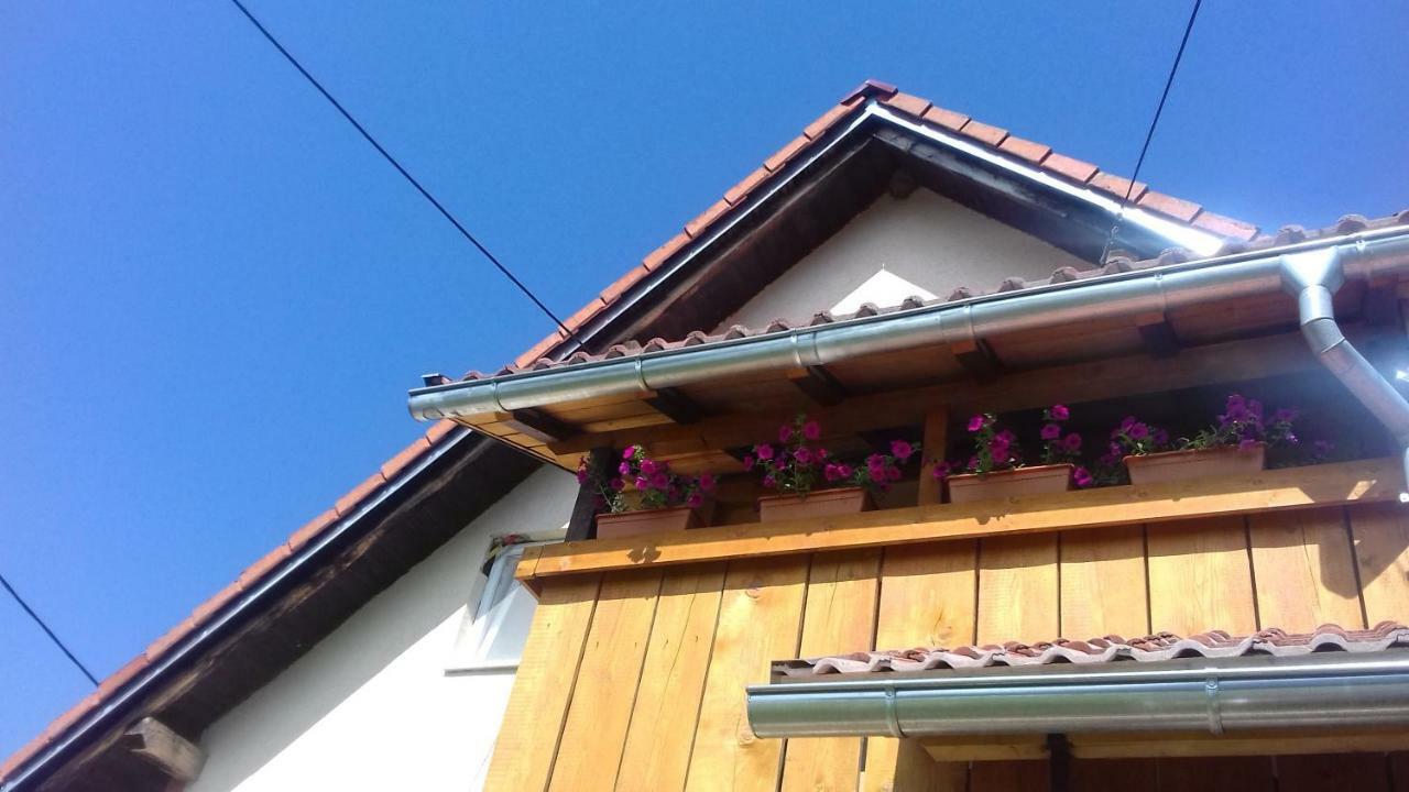 Apartment Lug Saborsko エクステリア 写真