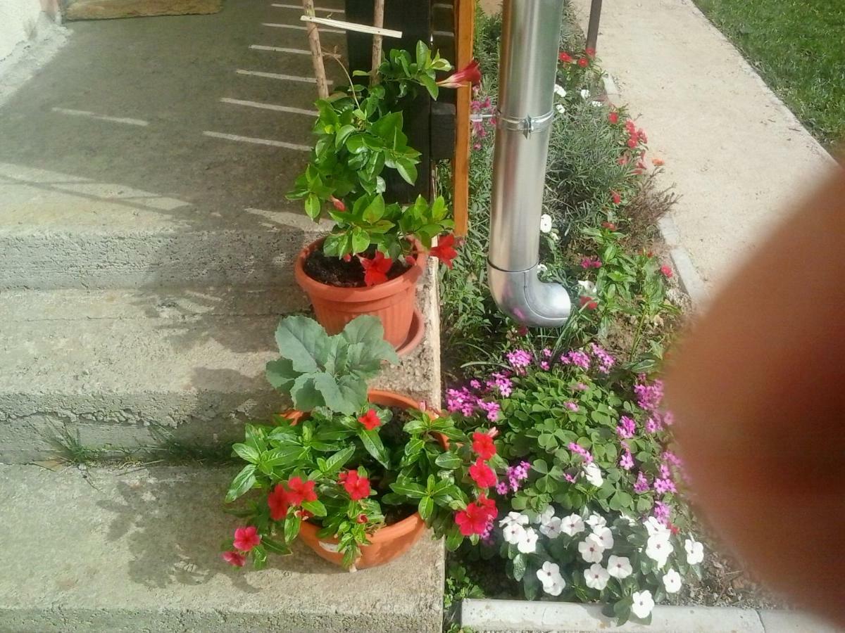 Apartment Lug Saborsko エクステリア 写真